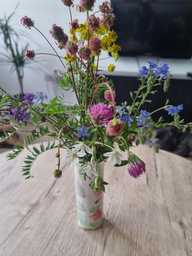 Apartman Nana Divčibare Exteriör bild